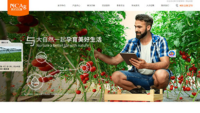 青島網(wǎng)站seo關鍵字優(yōu)化